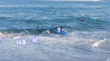 探索玄凤鹦鹉会被蚂蚁咬死吗?,解答你的疑问
